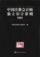 中国注册会计师独立审计准则（2002）