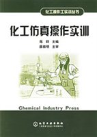 化工仿真操作实训