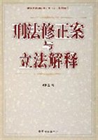 刑法修正案与立法解释