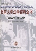 北京大学法学百科全书（民法学 商法学）