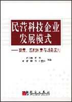 民营科技企业发展模式