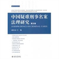 中国疑难刑事名案法理研究（第五卷）