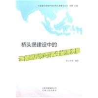 桥头堡建设中的云南新型和可再生能源发展
