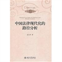 中国法律现代化的路径分析