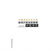 中俄科技合作中的知识产权法律保障问题研究