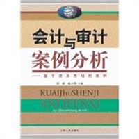 会计与审计案例分析