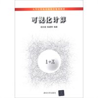 可视化计算