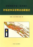 济阳坳陷罗家垦西地区砂砾岩体深层稠油油藏描述