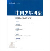 中国少年司法（2013.2 总第16辑）